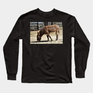 Donkey Long Sleeve T-Shirt